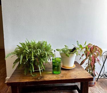 Talca Apartment | Departamento central en la ciudad de TALCA