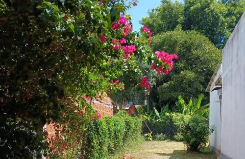 San Ignacio House | Casa Pueblo Antiguo