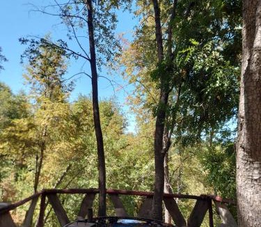 Bajos de Lircay House | Cabaña en bosque
