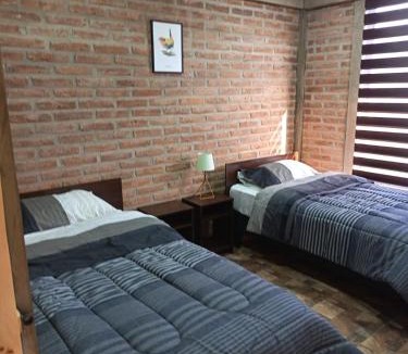 Malloa Apartment | Nuevas Cabañas y Loft Malloa - Naturaleza Desconexión y Viñedos - VI Región