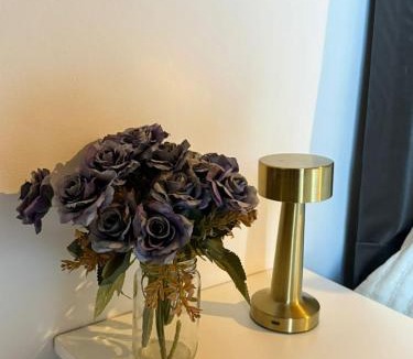 Merlo Apartment | merlomar1