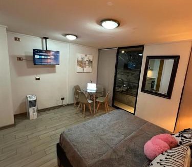 Independencia Apartment | Loft sorprendente con Gym en comuna Independencia