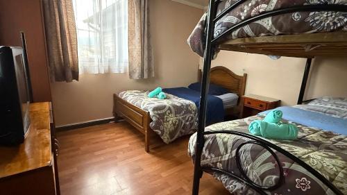 Temuco House | Hostal Temuco