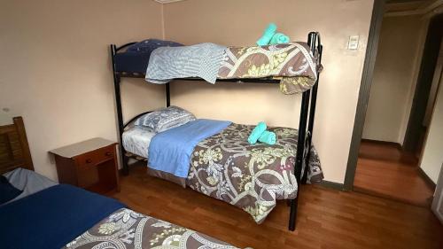 Temuco House | Hostal Temuco