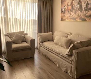 Concepcion Apartment | Departamento central y moderno