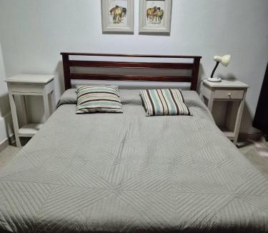 Barrio Centro Apartment | Pleno centro con cochera