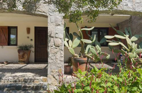 Cachagua House | Casapueblo Rent Cachagua CP 18