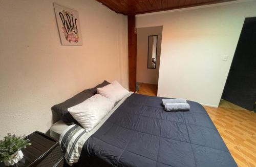 Curico House | Habitación doble en el centro con baño privado