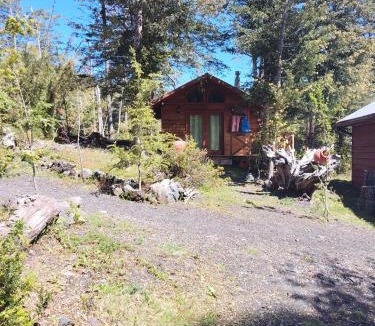 Temuco Apartment | Cabañas mountain Native forest