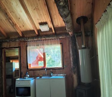 Temuco Apartment | Cabañas mountain Native forest