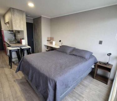 Temuco Apartment | Departamento a pasos del Mall portal Temuco