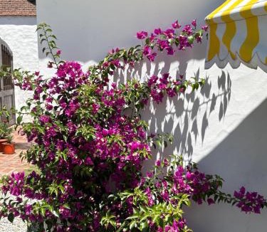 Balcarce Bed & Breakfast | Apart Los Cerrillos