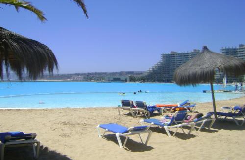 Algarrobo Apartment | Departamento en San Alfonso del Mar