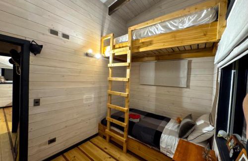Llifen Ski Chalet | Casa en el Bosque Futrono