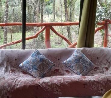 Puerto Octay Apartment | Cabaña Las Cascadas