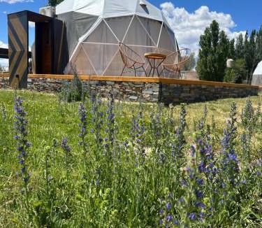 Malargue Hotel | Los Cardos Lodge & Glamping