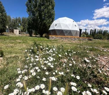 Malargue Hotel | Los Cardos Lodge & Glamping