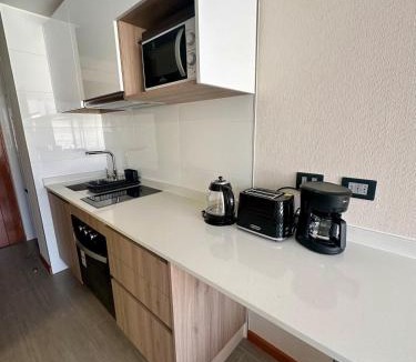 Cavancha Apartment | Departamento nuevo a pasos de la cavancha, sector Peninsula