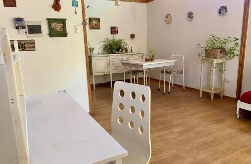 Ovalle House | Cabaña con Patio y Árboles
