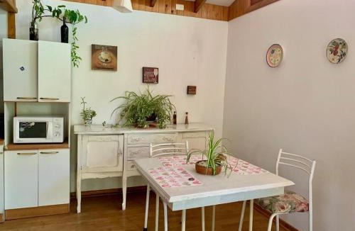 Ovalle House | Cabaña con Patio y Árboles