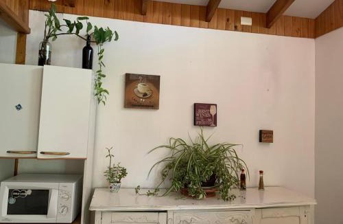 Ovalle House | Cabaña con Patio y Árboles