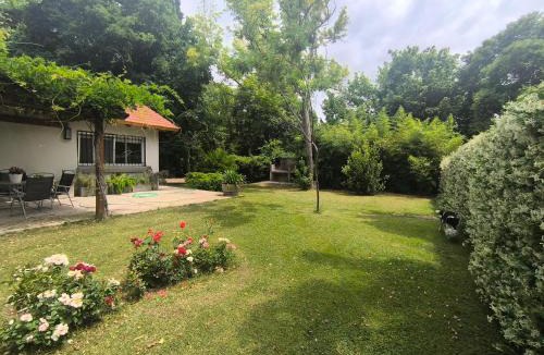 Chacras de Coria House | Old Willow