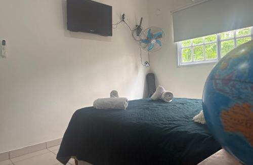San Pedro Apartment | La Violeta Due, casa con jardín y cochera