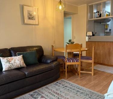 Pinto Apartment | Nevados de chillan , edificio los coigues