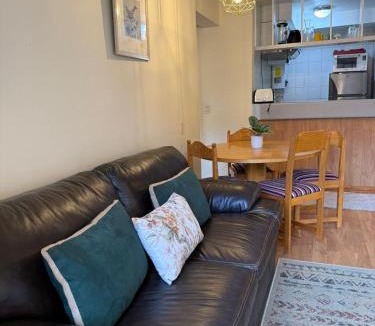Pinto Apartment | Nevados de chillan , edificio los coigues
