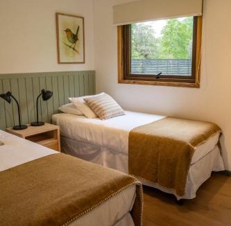 Lago Ranco House | Cabañas Parque Futangue