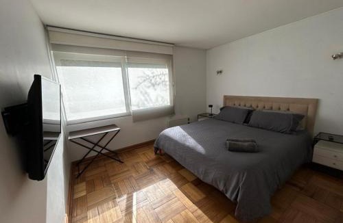 Yerbas Buenas Apartment | Bicentenario Park Apartment