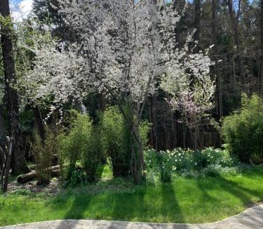 Salto del Laja Cabin | Alma Sur Lodge