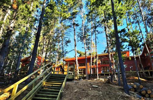 Pichilemu House | Bosque marino