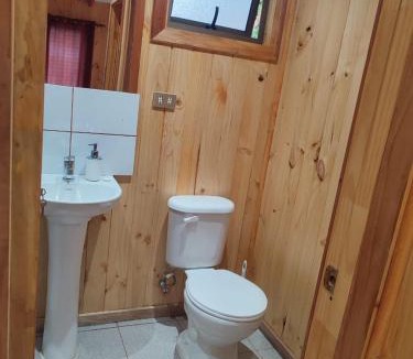 Conaripe House | Cabaña irenio