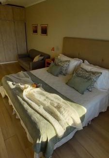 Centro Apartment | Patagonia D.A.T