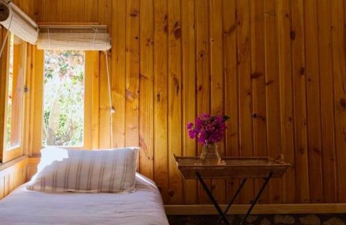 Paihuano Cabin | Cabañas El Albaricoque Cochiguaz