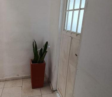Cordoba Apartment | Violeta