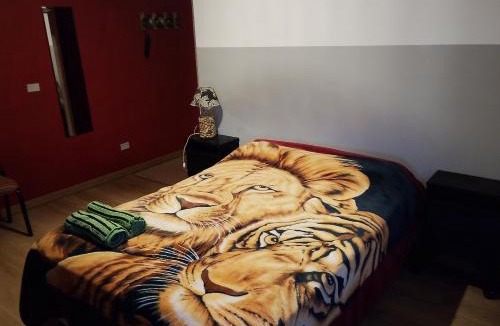 Zapala Apartment | Dpto BBB