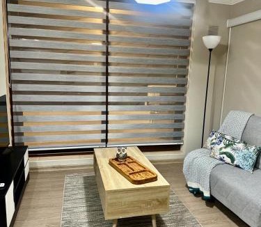 Chillan Apartment | Lindo y central departamento
