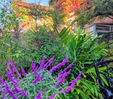 Pilar Centro Bed & Breakfast | La Ignacia Bed and Breakfast