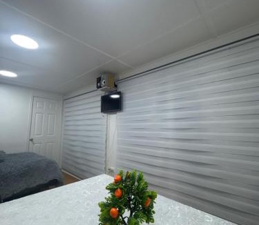 Lago Ranco Apartment | Tiny House con Tinaja Adicional