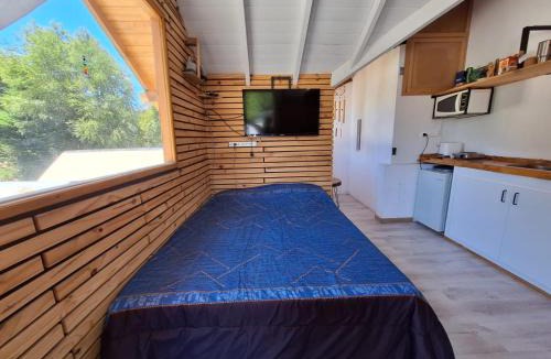 San Martin de los Andes Apartment | Cozy mono SMA