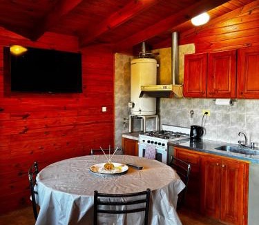 Junin de los Andes Apartment | La martina