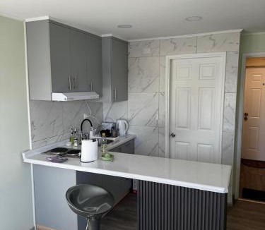 Osorno Apartment | Departamento Studio Full 109