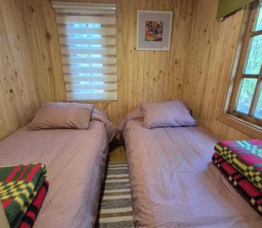 Pinto Apartment | Cabaña Los Lleuques, Descanso en Cordillera a orillas del río Renegado