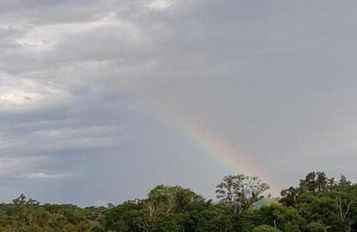 Puerto Iguazu Resort | Curiango Birding Camp