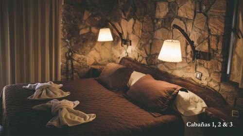 Rincon del Atuel Cabin | Cabañas Villa Bonita