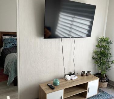 Chillan Apartment | Depto Nuevo Chillan Centro 2D-2B-E privado