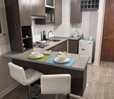 Independencia Apartment | 13 Apartamento en Santiago en fente al Metro