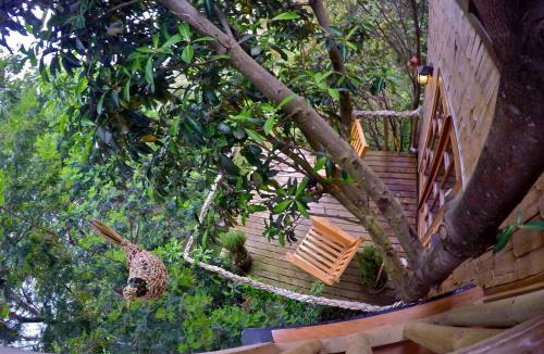 Nercon House | La Casa Del Árbol De Chiloé